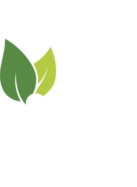 Empresa Navegante